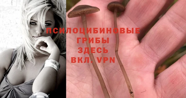 соль курить ск Горняк