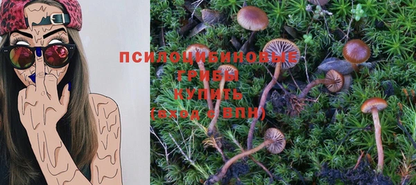 jwh Вяземский