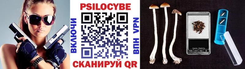 Псилоцибиновые грибы Cubensis  продажа наркотиков  Задонск 